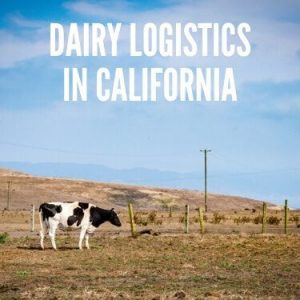 Dairy Logistics in California