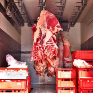 Shipping Meat and Beef in California