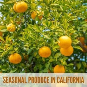 Seasonal Produce in California