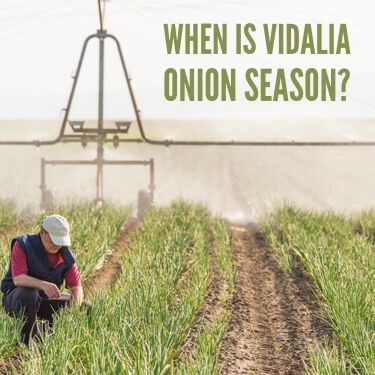 When Is Vidalia Onion Season