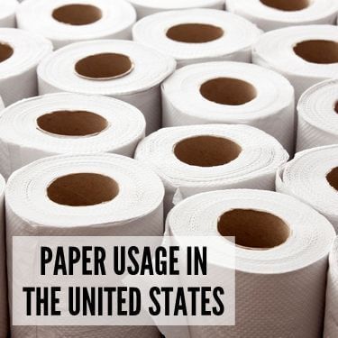Paper Usage In the United States