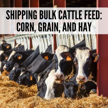 Shipping Bulk Cattle Feed | USA Truckload Shipping