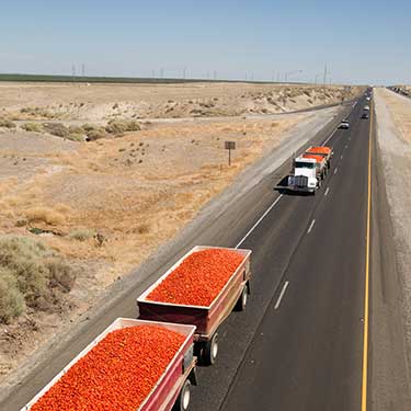 cargo trucks transporting goods on Arizona desert highway