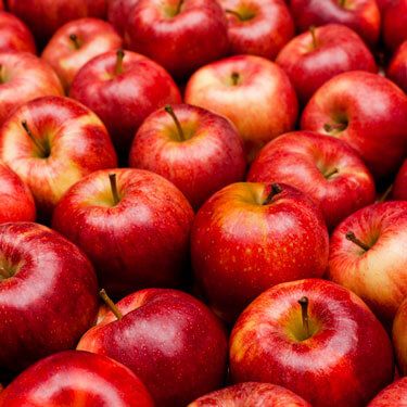 Freight Shipping from Pennsylvania to Florida Apples