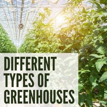 Different Types Of Greenhouses