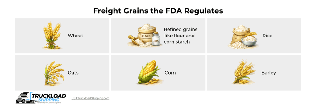 Infographic depicts types of freight grains the FDA regulates, like wheat, corn, and rice.
