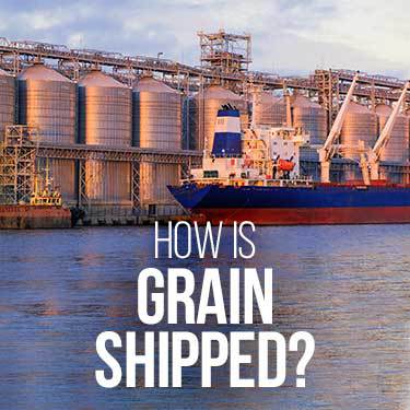 how-is-grain-shipped