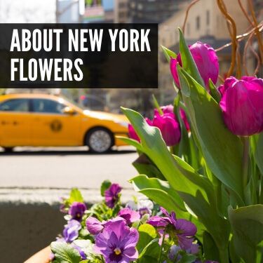 About New York Flowers