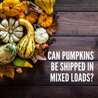 Can Pumpkins be Shipped in Mixed Loads