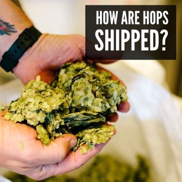 How Are Hops Shipped
