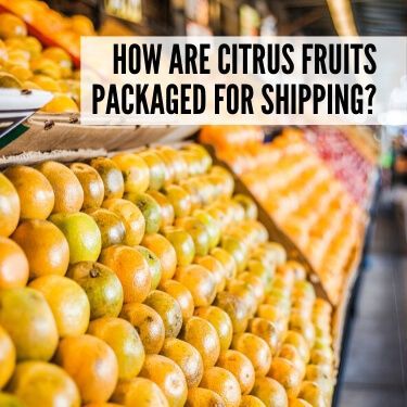 How are Citrus Fruits Packaged for Shipping