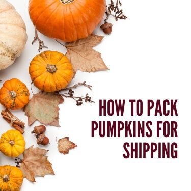How to Pack Pumpkins for Shipping