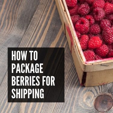 How to Package Berries for Shipping