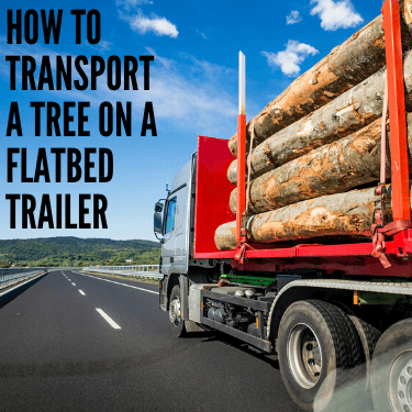 How to Transport a Tree on a Flatbed Trailer