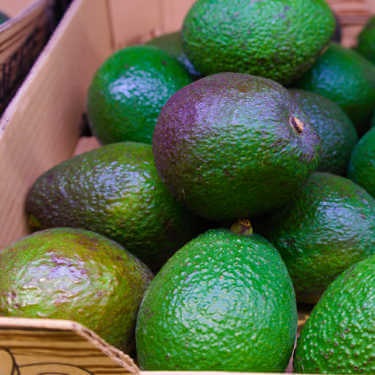 Regulations For Shipping Avocados