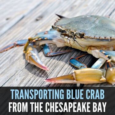 Blue Crab Bay~ Giveaway! – Home is Where the Boat Is