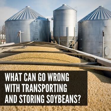 What Can Go Wrong with Transporting and Storing Soybeans