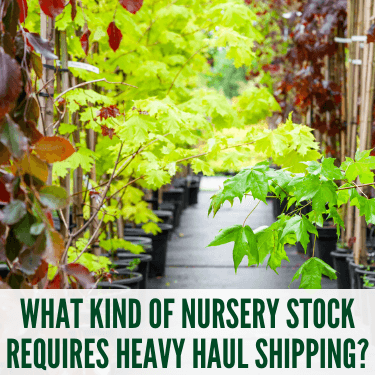 What Kind of Nursery Stock Requires Heavy Haul Shipping