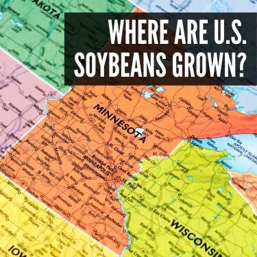 Where are U.S. Soybeans Grown