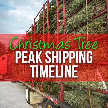 Christmas Tree Peak Shipping Timeline