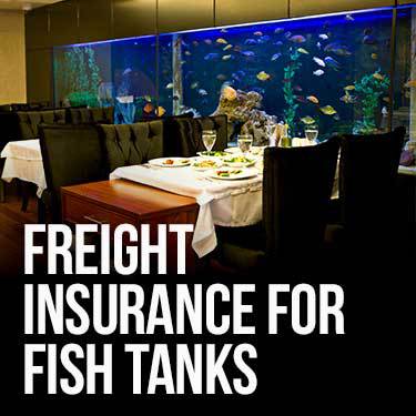 freight-insurance-for-fish-tanks