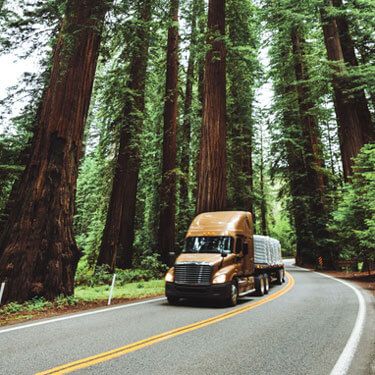 Freight Shipping from Tennessee to California - Flatbed driving through forest